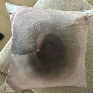 Lot of 2 cb2 pillows